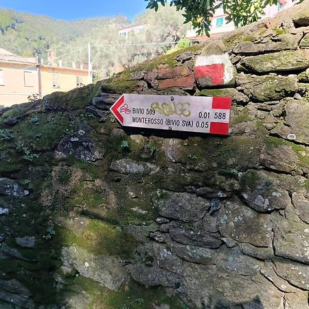 Chez Diego With Ac And Garden Monterosso al Mare Bagian luar foto