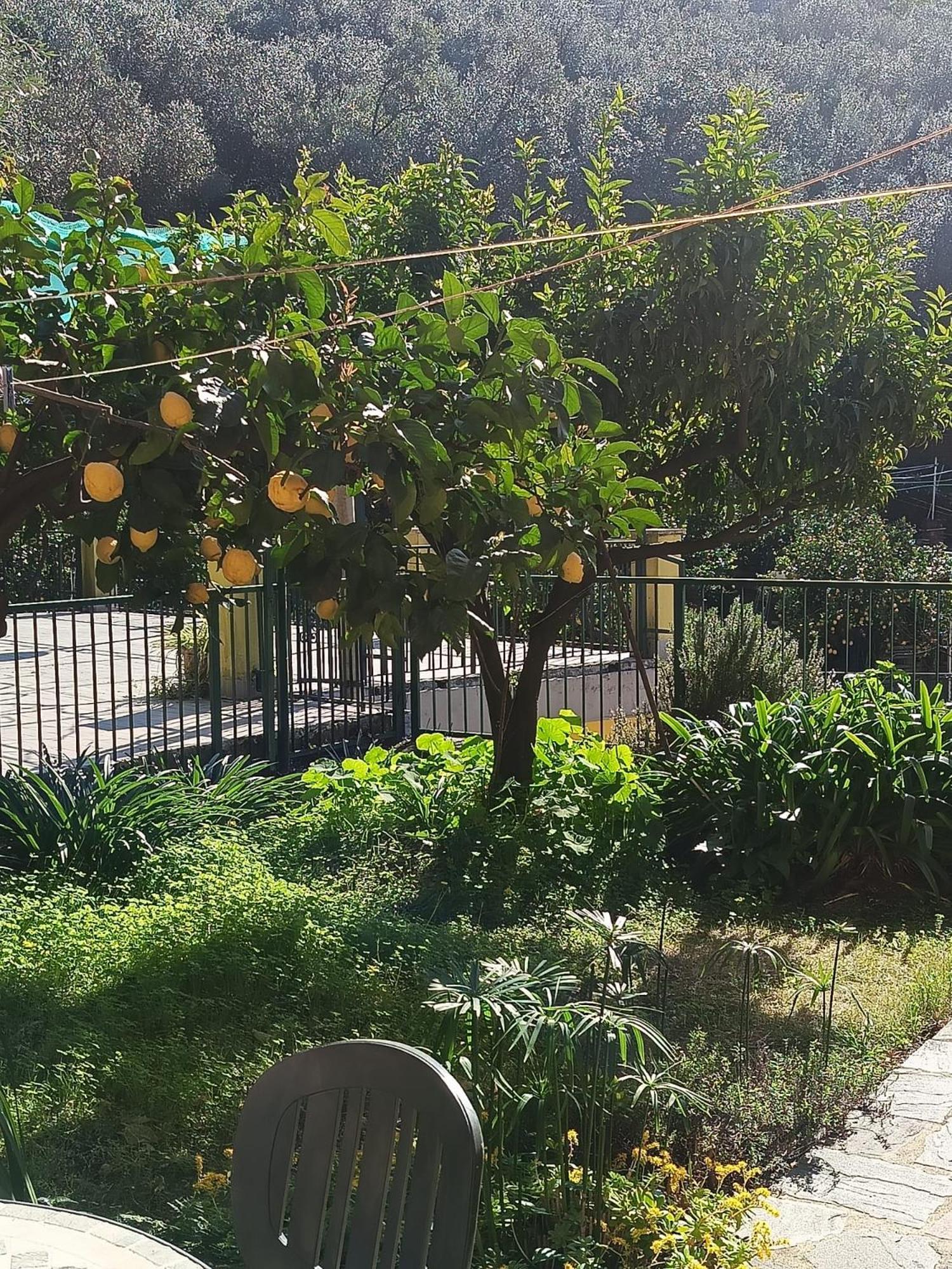 Chez Diego With Ac And Garden Monterosso al Mare Bagian luar foto